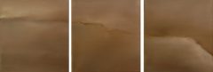 huile sur toile 2008 triptyque brun 3x25x23