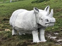 rhinocéros en ciment