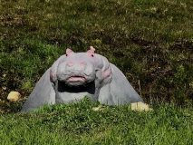 hippopotame de face en mortier 2020